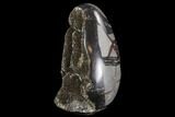 Bargain Septarian Dragon Egg Geode - Black Crystals #96027-1
